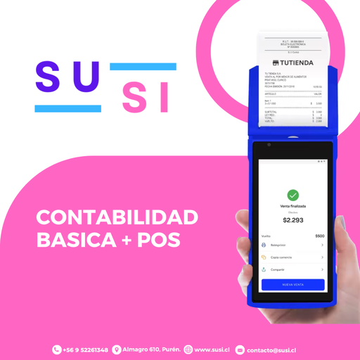 [PC29] Plan Basico Contabilidad